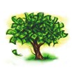 money tree