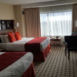 12080656_983334738376170_971370222_n